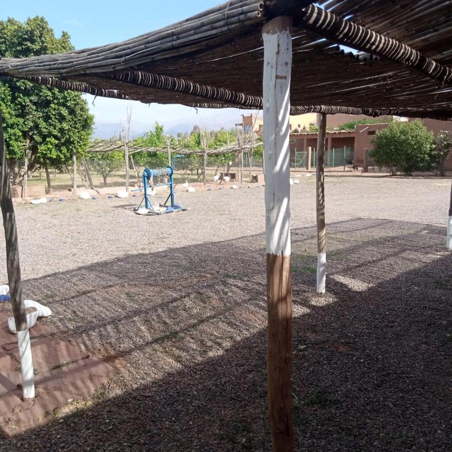 Villa Ferme Berbere Marrakesh Exteriör bild